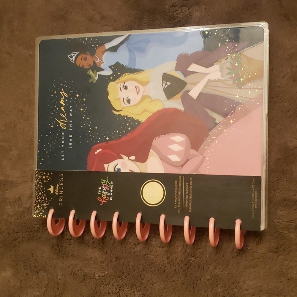 Disney Princess undated planner. New
